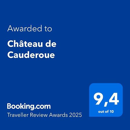 Nérac Chateau De Cauderoue المظهر الخارجي الصورة
