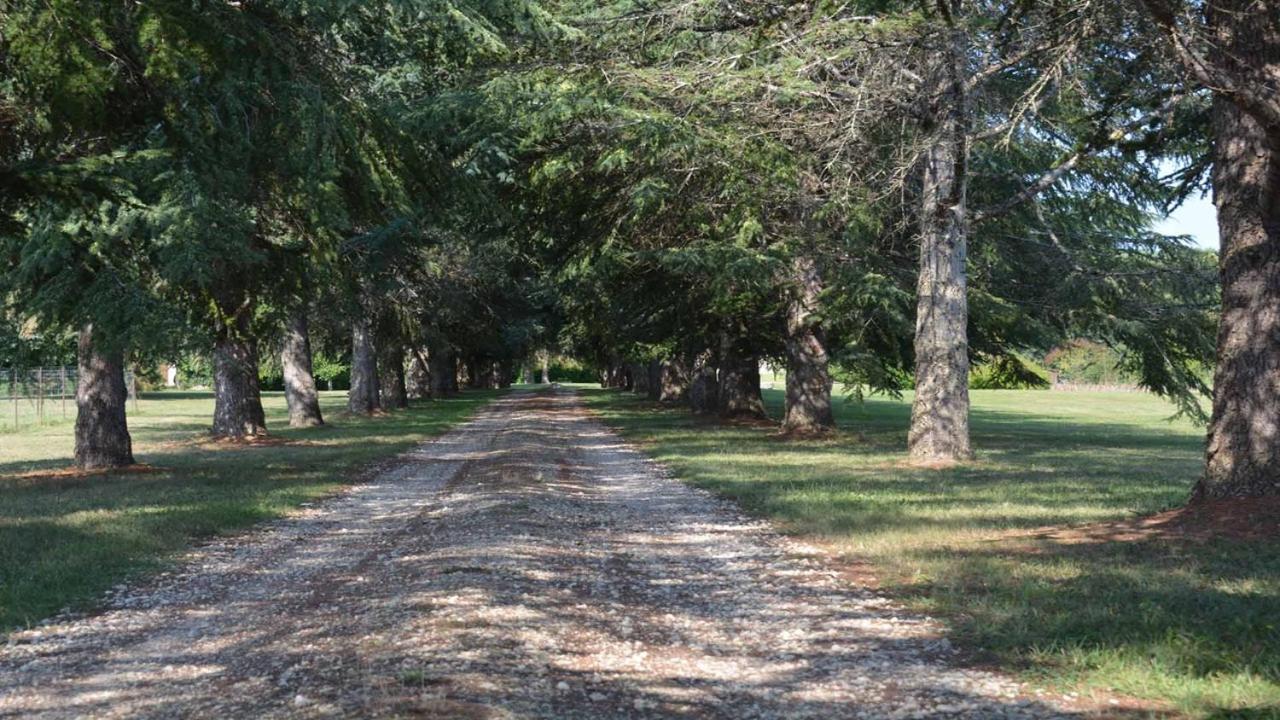 مبيت وإفطار Nérac Chateau De Cauderoue المظهر الخارجي الصورة