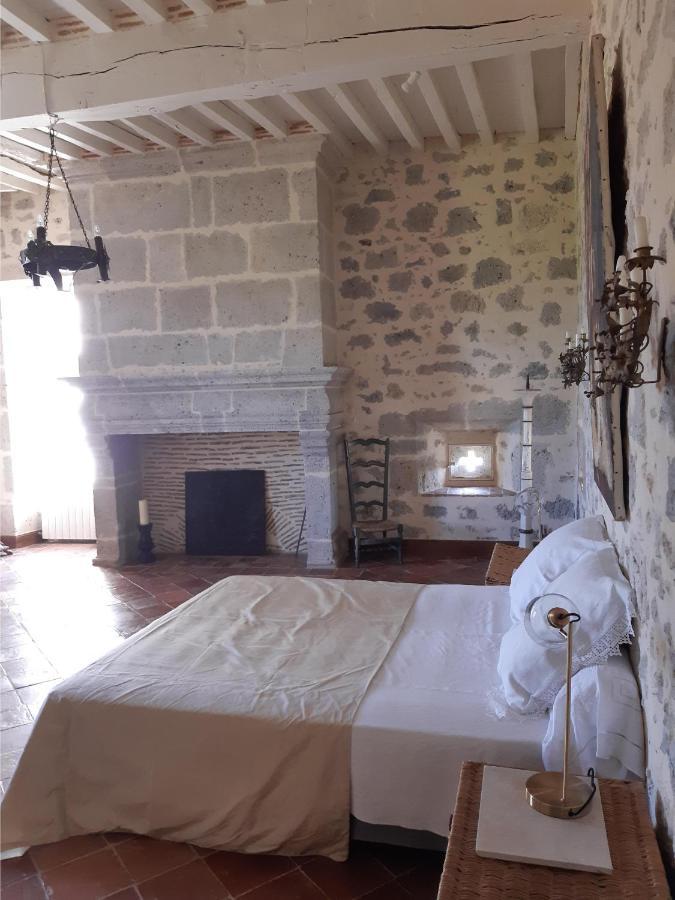 Nérac Chateau De Cauderoue المظهر الخارجي الصورة
