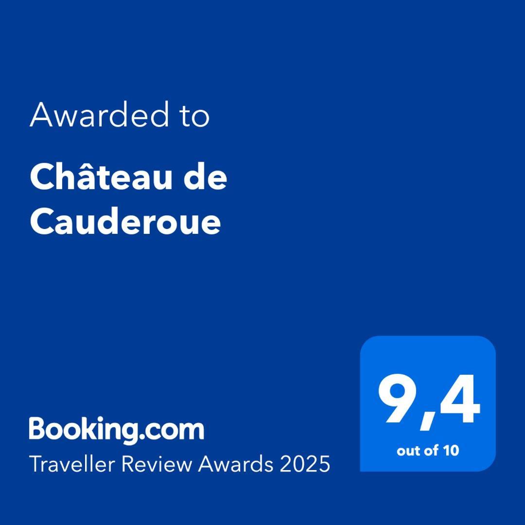 Nérac Chateau De Cauderoue المظهر الخارجي الصورة